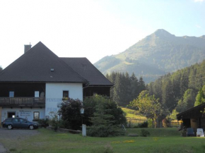  Pension Pein FEWO Chalet  Фордернберг